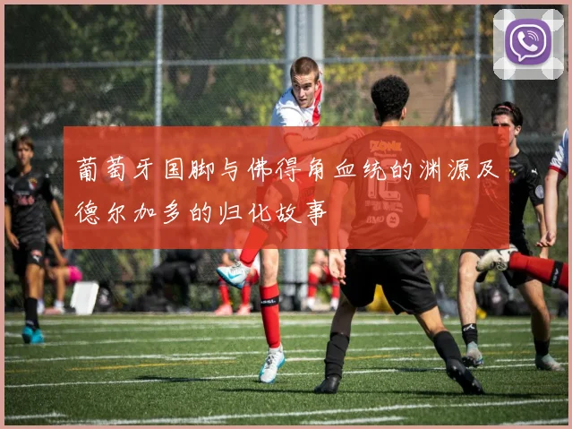 葡萄牙国脚与佛得角血统的渊源及德尔加多的归化故事