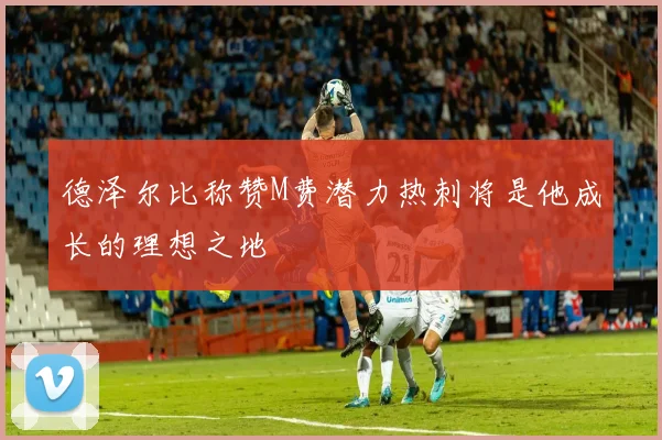德泽尔比称赞M费潜力热刺将是他成长的理想之地